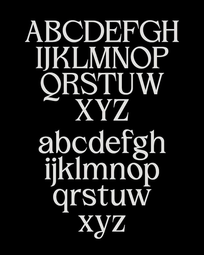 Galnoy, a serif typeface by designer Dani Bydani, blends Garalde, G ...