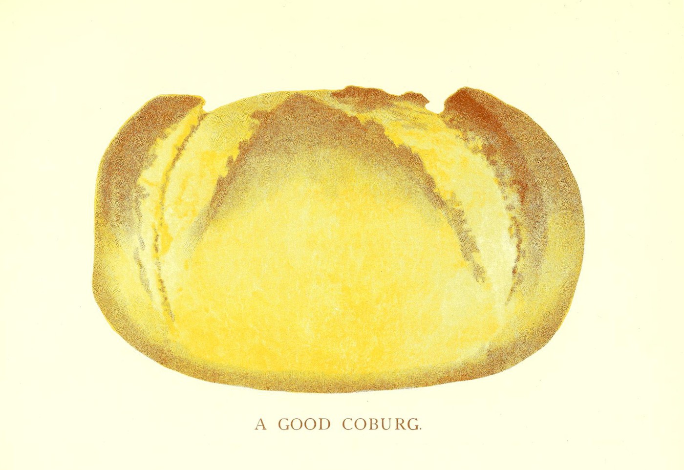33df38d0-6d34-40c0-aa39-69fc6d0c0274