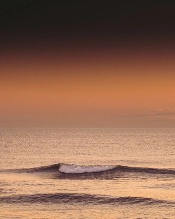 A cover of "Cine AI" cluster. The owner is yungadz. The cluster consists of 76 elements.