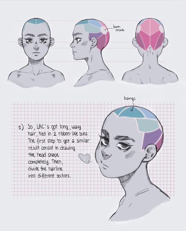 Anatomy