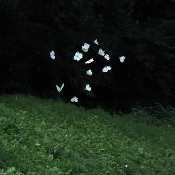 A cover of "photography" cluster. The owner is snow.angel. The cluster consists of 112 elements.