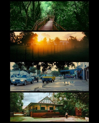 A cover of "zoo" cluster. The owner is starfish04. The cluster consists of 2 elements.