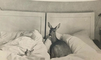 A cover of "with love" cluster. The owner is s0ftsworld. The cluster consists of 26 elements.