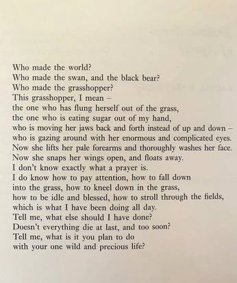 A cover of "literature" cluster. The owner is letterarii. The cluster consists of 4 elements.