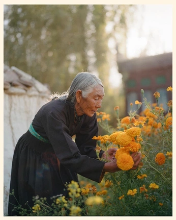 A cover of "Peace" cluster. The owner is hannahziebart. The cluster consists of 20 elements.