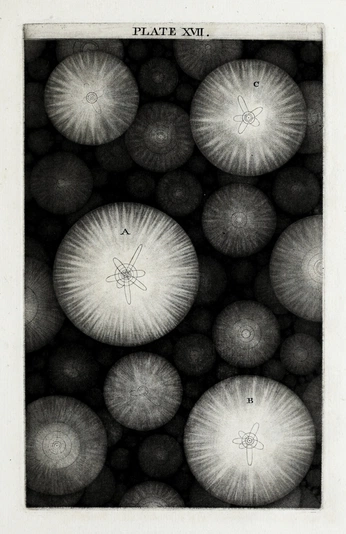 A cover of "Moody spirit" cluster. The owner is strelitzias. The cluster consists of 23 elements.