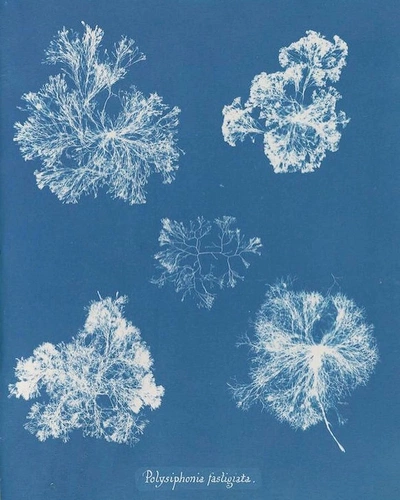 An Instagram carousel post added by ch1p666 on Mar 17, 2025. The author is @publicdomainrev.