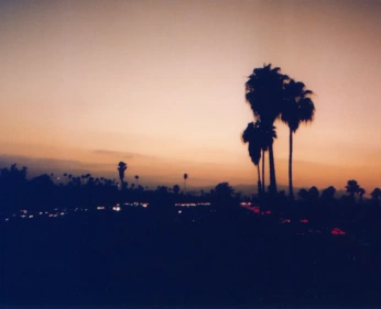 A cover of "nostalgia" cluster. The owner is mansuo. The cluster consists of 1 element.