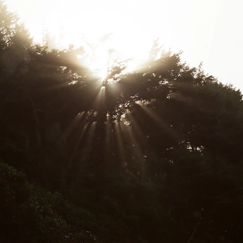 A cover of "Clyzine" cluster. The owner is fleyneiz. The cluster consists of 8 elements.