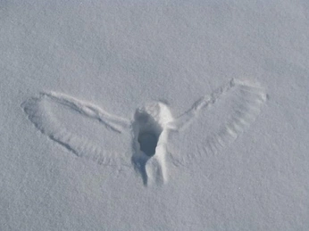 A cover of "angelic realm" cluster. The owner is ladybugs. The cluster consists of 22 elements.