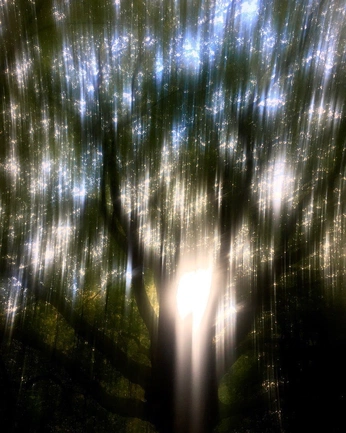 A cover of "bodies bodies bodies" cluster. The owner is angelissa. The cluster consists of 3 elements.