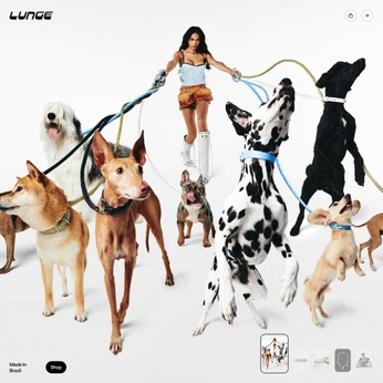 A cover of "Balto Pics" cluster. The owner is val3ri. The cluster consists of 1 element.