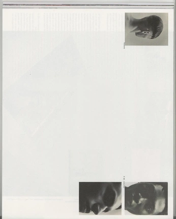 A cover of "EDITORIAL" cluster. The owner is filippoladuca. The cluster consists of 18 elements.