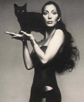 A cover of "Women Who Don’t GAF" cluster. The owner is btcsugardaddy. The cluster consists of 6 elements.