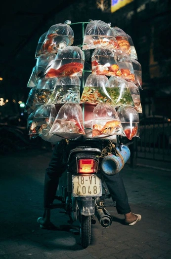 A cover of "Tank" cluster. The owner is lextrickett. The cluster consists of 1 element.