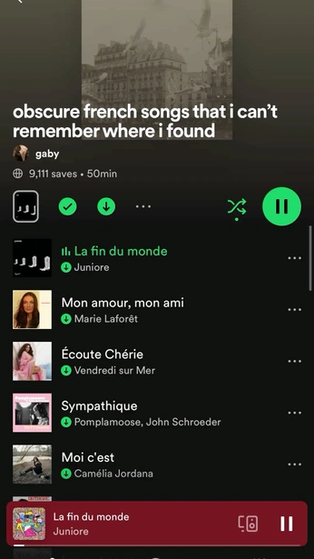 A cover of "music ‧₊˚📀✩♬ ₊˚." cluster. The owner is d0odlesnax. The cluster consists of 10 elements.