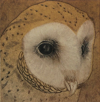 A cover of "NSL" cluster. The owner is rosest. The cluster consists of 38 elements.