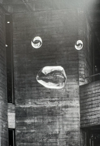 A cover of "Photography" cluster. The owner is henrii. The cluster consists of 5 elements.