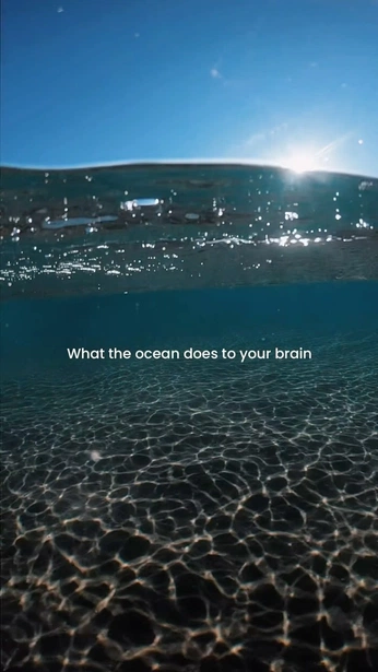 A cover of "Edit Snap Ref." cluster. The owner is mandyaman. The cluster consists of 14 elements.