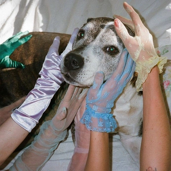 A cover of "SH" cluster. The owner is lali10. The cluster consists of 1 element.