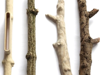 A cover of "nature" cluster. The owner is be4fy. The cluster consists of 24 elements.