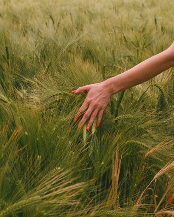 A cover of "Ectagono" cluster. The owner is panthegreat. The cluster consists of 57 elements.