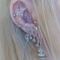 Cover of piercings cluster