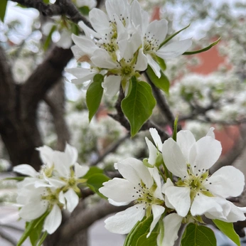 A cover of "Personal" cluster. The owner is fabriciocp. The cluster consists of 36 elements.