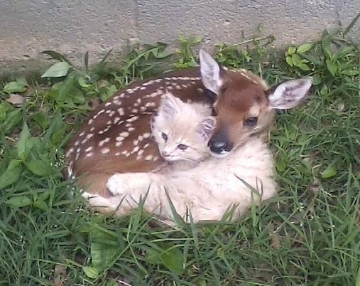 nature