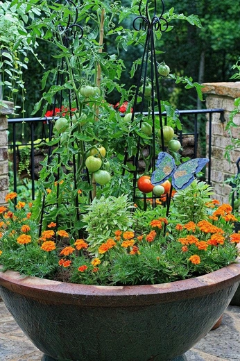 A cover of "Container Gardening" cluster. The owner is gailfoster. The cluster consists of 24 elements.