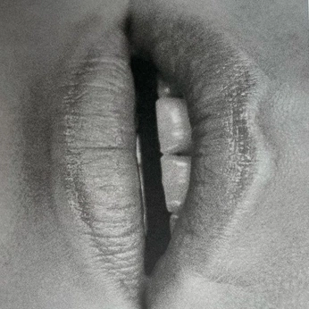 A cover of "Suave" cluster. The owner is marques. The cluster consists of 16 elements.