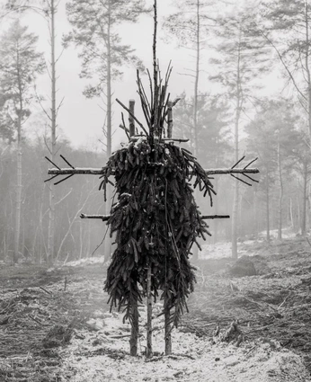 A cover of "The shaman" cluster. The owner is karlythegreat. The cluster consists of 4 elements.