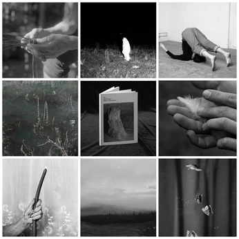 A cover of "b&w photography" cluster. The owner is valsofia. The cluster consists of 16 elements.