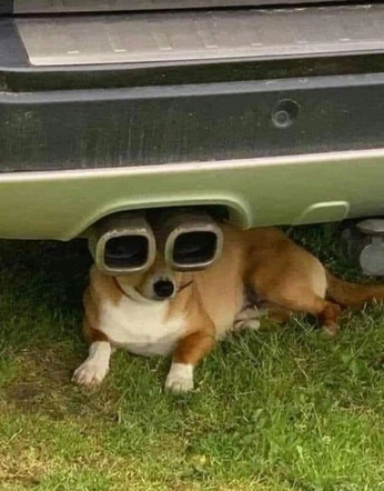 A cover of "Summer" cluster. The owner is casearose. The cluster consists of 67 elements. 2 create it.