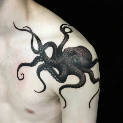 Cover of Épaule droite avant collection