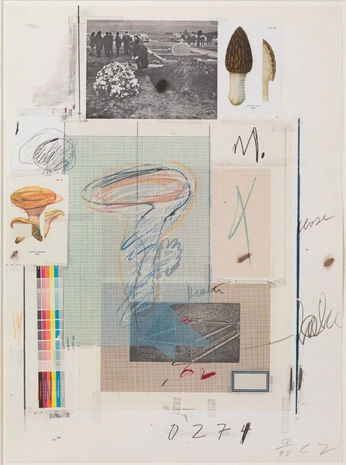 A cover of "Collage" cluster. The owner is anjaamanda. The cluster consists of 3 elements.