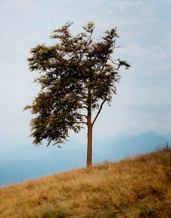 A cover of "Photography Inspiration" cluster. The owner is senormike. The cluster consists of 2 elements.