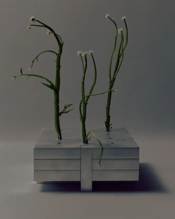 A cover of "OBJKTS" cluster. The owner is brndmrk. The cluster consists of 32 elements.