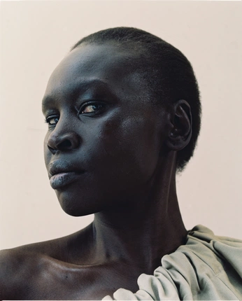 A cover of "Bookmark" cluster. The owner is theblueberrian. The cluster consists of 2 elements.