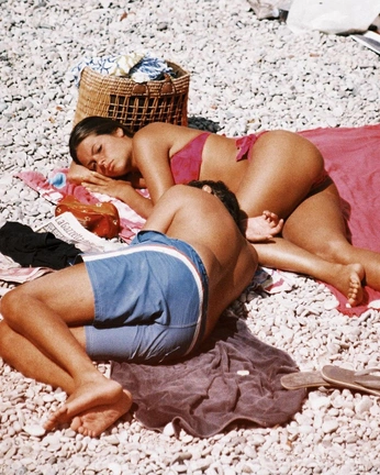 A cover of "P + L" cluster. The owner is laynibecker. The cluster consists of 81 elements.