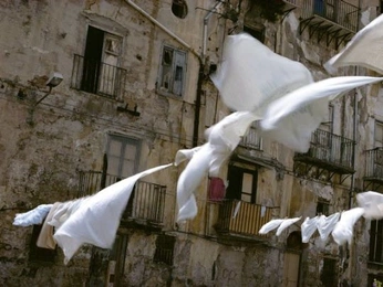 A cover of "catania_dreh" cluster. The owner is gabrielorlando. The cluster consists of 65 elements.