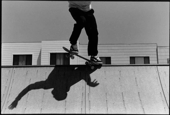 A cover of "SKATEBOARD" cluster. The owner is studioseven. The cluster consists of 6 elements.