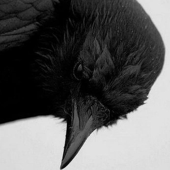 A cover of "reference" cluster. The owner is twoofcrows. The cluster consists of 34 elements.