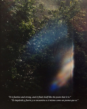 A cover of "inspo :)" cluster. The owner is julitombo. The cluster consists of 26 elements.