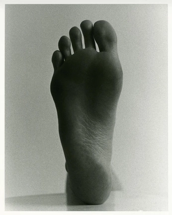 A cover of "body" cluster. The owner is vetkaverba. The cluster consists of 3 elements.