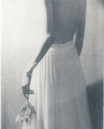 A cover of "Bárbara Alves" cluster. The owner is bbaalvess. The cluster consists of 86 elements.