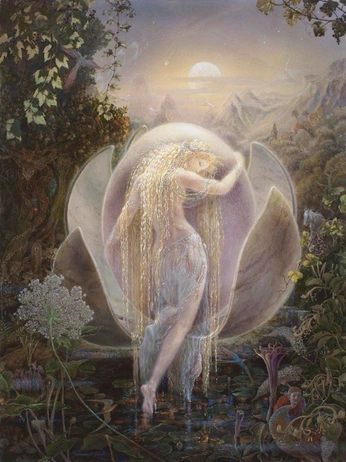 A cover of "• kinuko y craft •" cluster. The owner is orfae. The cluster consists of 3 elements.