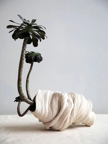 A cover of "Plant Pots" cluster. The owner is mayfaring. The cluster consists of 10 elements.