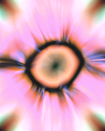 A cover of "VRF&F" cluster. The owner is samuelferraz. The cluster consists of 51 elements.