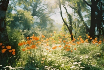 A cover of "spring" cluster. The owner is chiaraelle. The cluster consists of 31 elements.